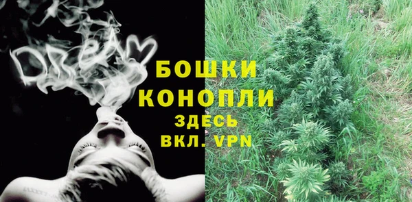 сатива Богданович