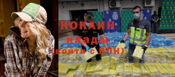 сатива Богданович