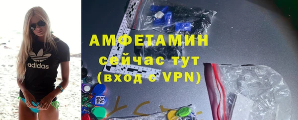 сатива Богданович