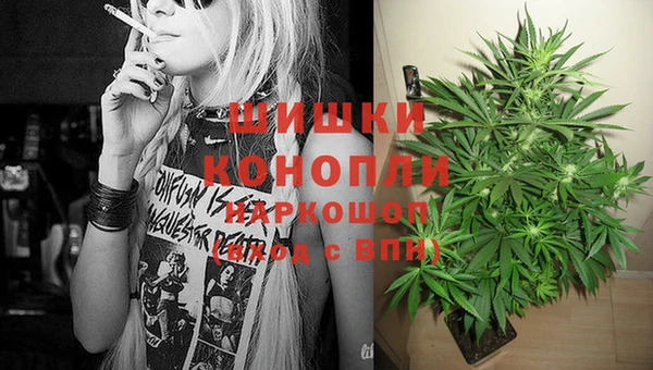 сатива Богданович