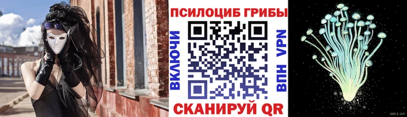 Купить закладки  Боровск  Галлюциногенные грибы Psilocybine cubensis 